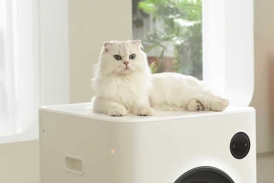 best self cleaning cat litter boxes